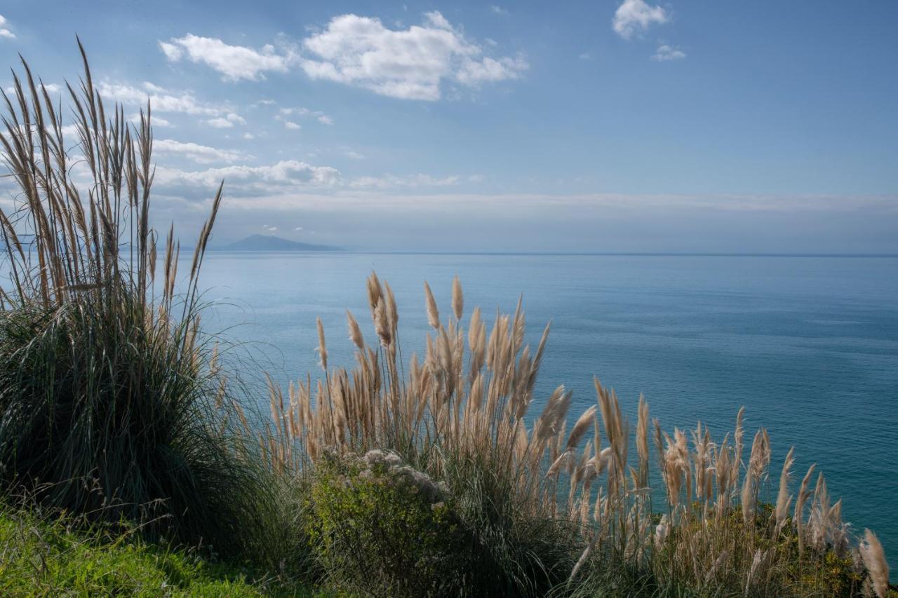 Studio Design - Proche Plage Biarritz Bagian luar foto